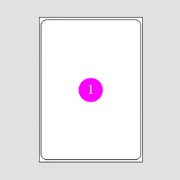 Picture of Adhesive Labels 199,6x289,1 (1)