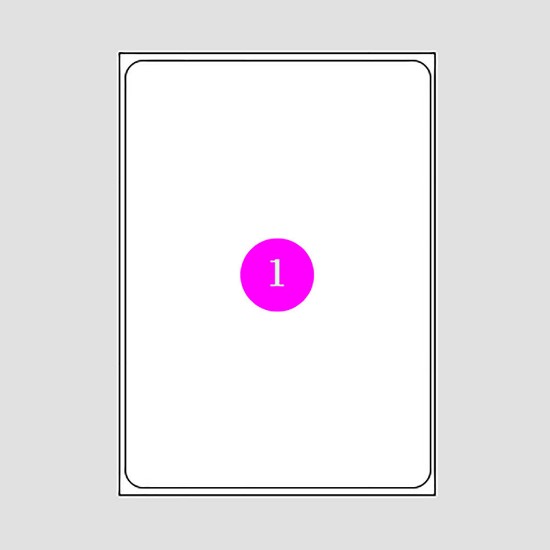 Picture of Adhesive Labels 199,6x289,1 (1)