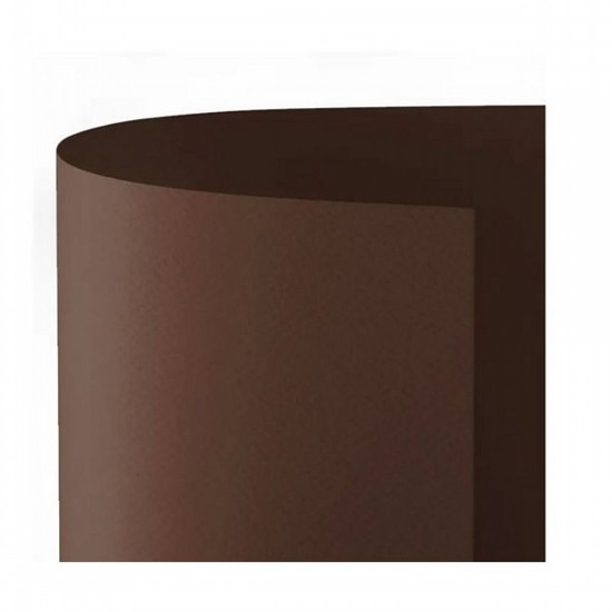 Picture of Cartboards (10) 70x100 220g Brown (08) PRISMA