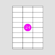 Picture of Adhesive Labels 70x35 [24]