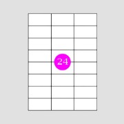 Picture of Adhesive Labels 64,6x33,8 [24]
